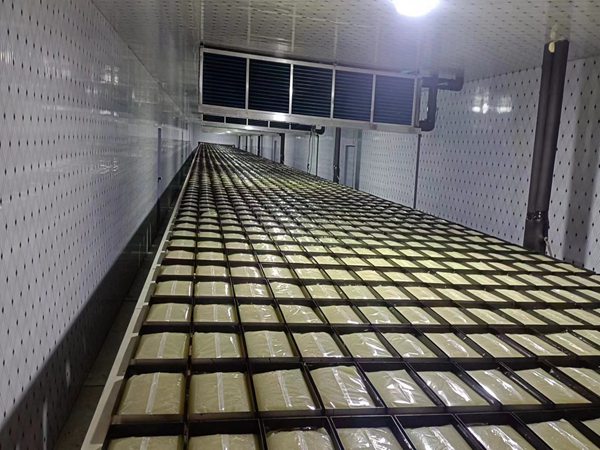 搬運(yùn)機(jī)器人廠家排名榜 上下料搬運(yùn)機(jī)器人圖片